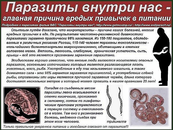 Паразиты