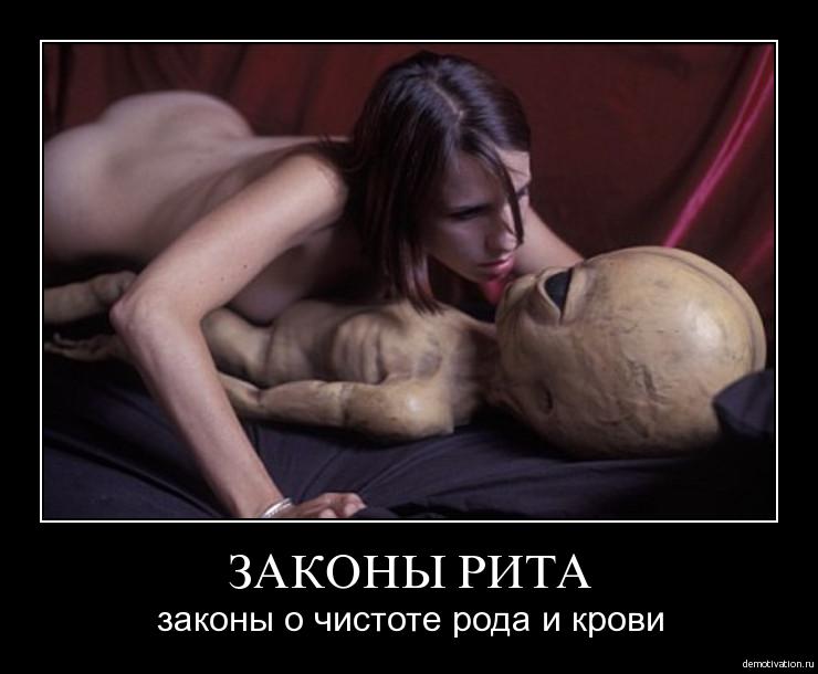 законы рита